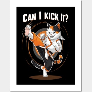 Can I Kick It ? Funny Kung fu cat Posters and Art